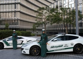 Dubai Traffic Fines