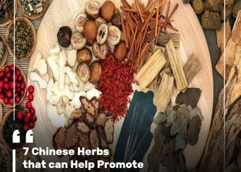 7 Chinese Herbs that can Help Promote your Immune System