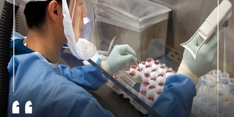 How to check the medical test result in Dubai?