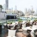 Top 10 best cafe in Dubai