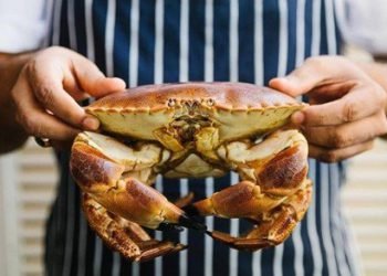 Top 10 best seafood restaurant in dubai