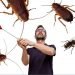 pest
