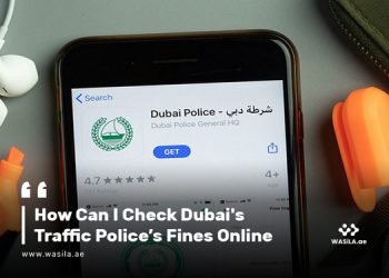 Dubai Police fine check