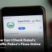 Dubai Police fine check