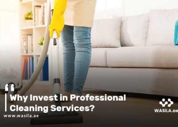 Professional Cleaning Services