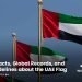 UAE Flag