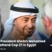UAE President Sheikh Mohamed will attend Cop 27 in Egypt