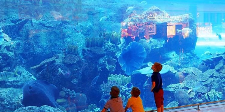 Places to Visit in Dubai with Kids on this New Year