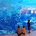 Places to Visit in Dubai with Kids on this New Year