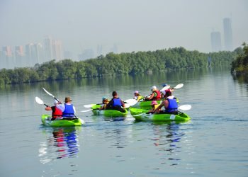 Abu Dhabi Adventures: Top Experiences in the Capital City