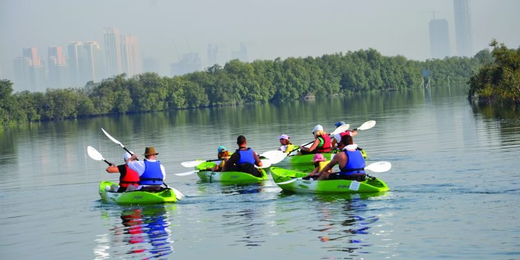 Abu Dhabi Adventures: Top Experiences in the Capital City