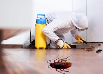 A Comprehensive Guide to Identifying, Preventing, and Managing Pest Control Services Dubai