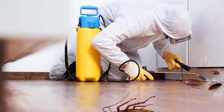 A Comprehensive Guide to Identifying, Preventing, and Managing Pest Control Services Dubai