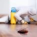 A Comprehensive Guide to Identifying, Preventing, and Managing Pest Control Services Dubai