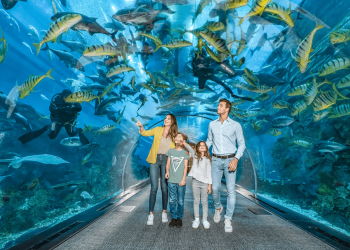 Top Family-Friendly Places to Visit in Dubai