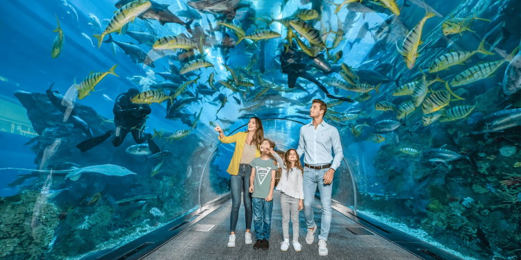 Top Family-Friendly Places to Visit in Dubai