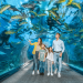 Top Family-Friendly Places to Visit in Dubai