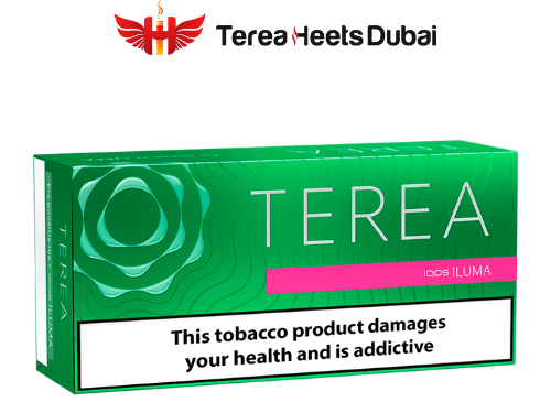 A Comprehensive Review of Terea Heets in Dubai