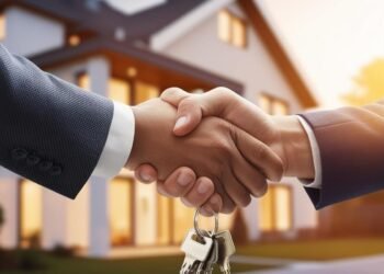 Professional Real Estate Developer